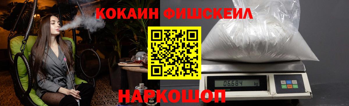 купить наркотики цена  Cocaine Fish Scale  Cocaine Fish Scale  Вход с VPN  Великий Новгород 