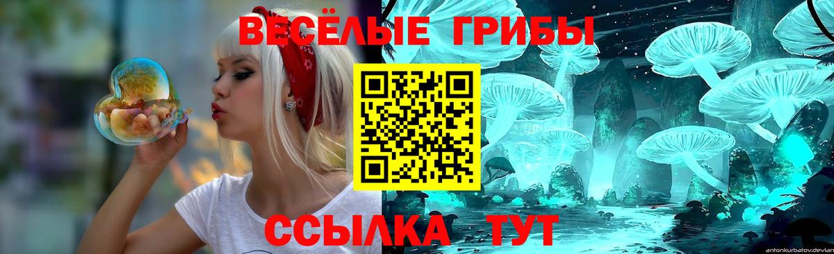 Галлюциногенные грибы MAGIC MUSHROOMS  Галлюциногенные грибы MAGIC MUSHROOMS  Великий Новгород  Вход с VPN 